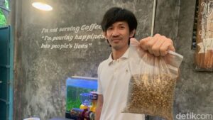 Tanu Wijaya
